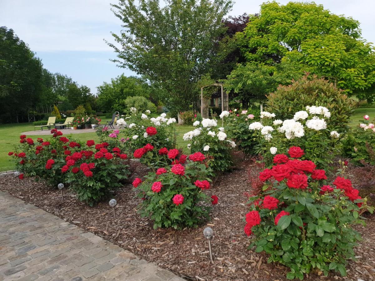 B&B Secret Garden Adults Only Voeren Exteriör bild